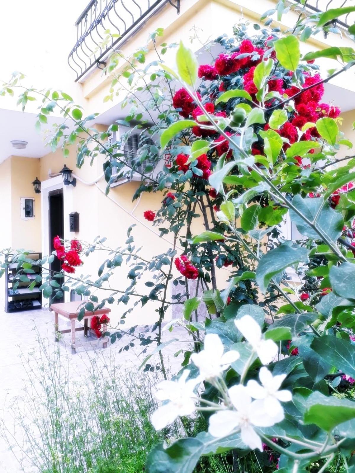 Paradise Villa Trabzon Exterior photo