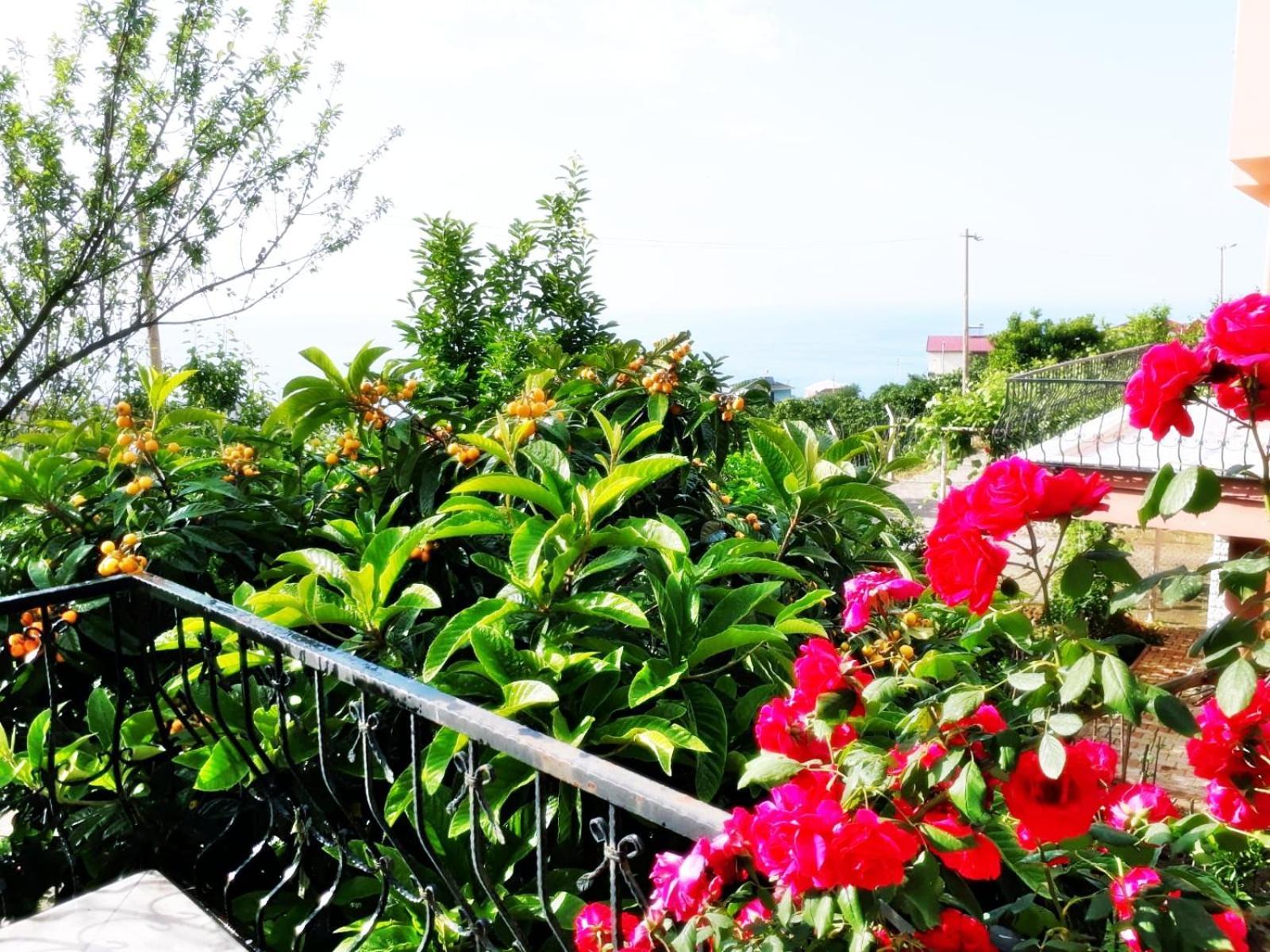 Paradise Villa Trabzon Exterior photo
